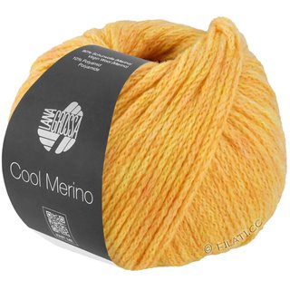 COOL MERINO von Lana Grossa