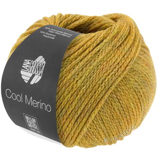 COOL MERINO von Lana Grossa