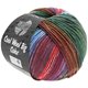 COOL WOOL Big Color - von Lana Grossa | 4003-Grün/Petrol/Weinrot/Flieder/Blau/Rot
