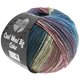 COOL WOOL Big Color - von Lana Grossa | 4005-Petrolblau/Jeans/Altrosa/Rosenholz/Beigebraun/Khaki