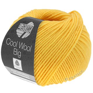 COOL WOOL Big  Uni/Melange von Lana Grossa