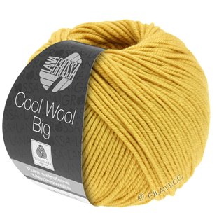 COOL WOOL Big  Uni/Melange von Lana Grossa