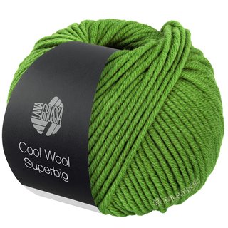 COOL WOOL Superbig von Lana Grossa