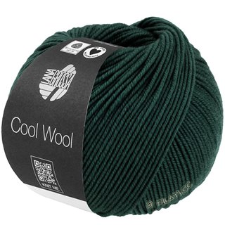 COOL WOOL von Lana Grossa