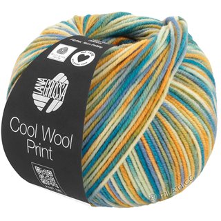 COOL WOOL  Print von Lana Grossa