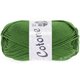 Lana Grossa COTONE | 054-Farngrün