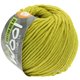 Lana Grossa COTTON MIX 80 (McWool) | 534-Pistazie