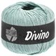 Lana Grossa DIVINO Uni | 60-Zartgrün