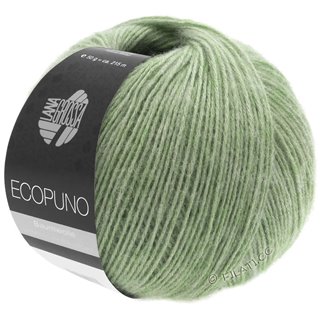ECOPUNO von Lana Grossa