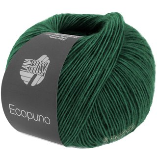 ECOPUNO von Lana Grossa