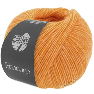 ECOPUNO von Lana Grossa