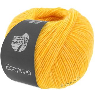 ECOPUNO von Lana Grossa