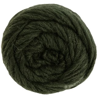 LANDLUST DIE FILZWOLLE von Lana Grossa