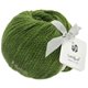 Lana Grossa LANDLUST MERINO 120 | 117-Grün