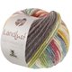 Lana Grossa LANDLUST Naturwolle Print | 105-Rot bunt