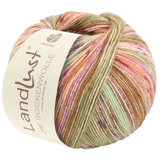 LANDLUST DIE SOCKENWOLLE 150g 6-Fach von Lana Grossa