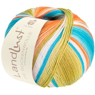 LANDLUST DIE SOCKENWOLLE von Lana Grossa