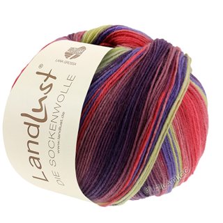 LANDLUST DIE SOCKENWOLLE von Lana Grossa