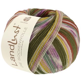 LANDLUST DIE SOCKENWOLLE von Lana Grossa