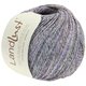 LANDLUST SOMMERSEIDE Mélange - von Lana Grossa | 103-Anthrazit/Lila/Petrol