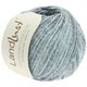 LANDLUST SOMMERSEIDE Mélange - von Lana Grossa | 106-Mint/Jeans/Grau