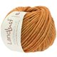 Lana Grossa LANDLUST WINTERWOLLE | 03-Orange meliert