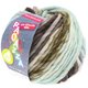 LEI Mouliné/Color Mix/Spray (Auslauffarben) - von Lana Grossa | 162-Rohweiß/Graubraun/Anthrazit