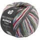 MEILENWEIT 6-FACH 150g Alpaca Print - von Lana Grossa | 1111-