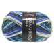 MEILENWEIT 6-FACH 150g Apache - von Lana Grossa | 9493-