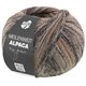 Lana Grossa MEILENWEIT 100g Alpaca Mix | 2301-