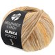 Lana Grossa MEILENWEIT 100g Alpaca Poncho | 2726-