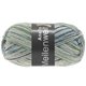 Lana Grossa MEILENWEIT 100g Anello | 4258-