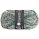 Lana Grossa MEILENWEIT 100g Carezza | 4447-
