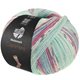 Lana Grossa MEILENWEIT 100g Cashmere Pista | 142-Mint/Türkis/Weiß/Grau/Hellblau/Fuchsia gestreift