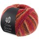 Lana Grossa MEILENWEIT 100g Cosy Socks Multi Stripes | 159-Rot/Fuchsia/Orange/Dunkelbraun/Lachs