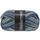MEILENWEIT 100g Blue Denim Mix - von Lana Grossa | 4606-Silbergrau/Hellgrau/Dunkelgrau/Graublau/Nachtblau/Jeans
