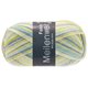Lana Grossa MEILENWEIT 100g Fondo | 7880-