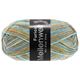 Lana Grossa MEILENWEIT 100g Furioso | 1762-