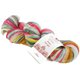 Lana Grossa MEILENWEIT 100g Merino Hand-dyed Rainbow | 7005-Adani