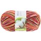 Lana Grossa MEILENWEIT 100g Solo Cotone Print | 1005-