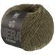 Lana Grossa NEBBIA (Nera) | 23-Waldgrün