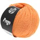 Lana Grossa PREGO | 04-Apricot