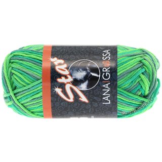 STAR Print von Lana Grossa