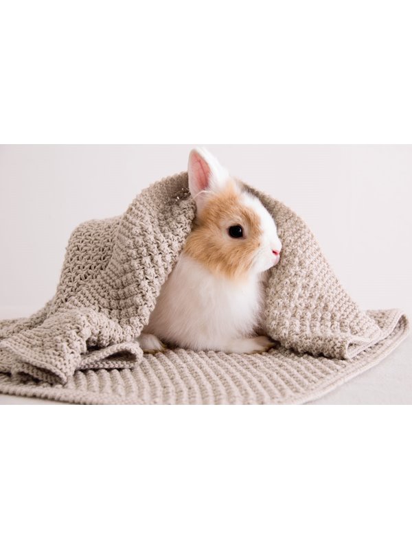 DECKE Cool Wool Baby von Lana Grossa