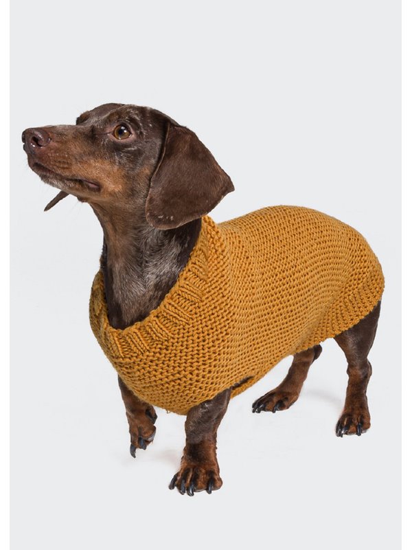 HUNDEPULLI Merino Wool von Lana Grossa