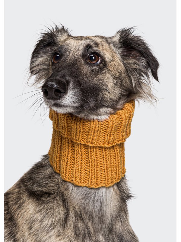 HUNDELOOP Merino Wool von Lana Grossa